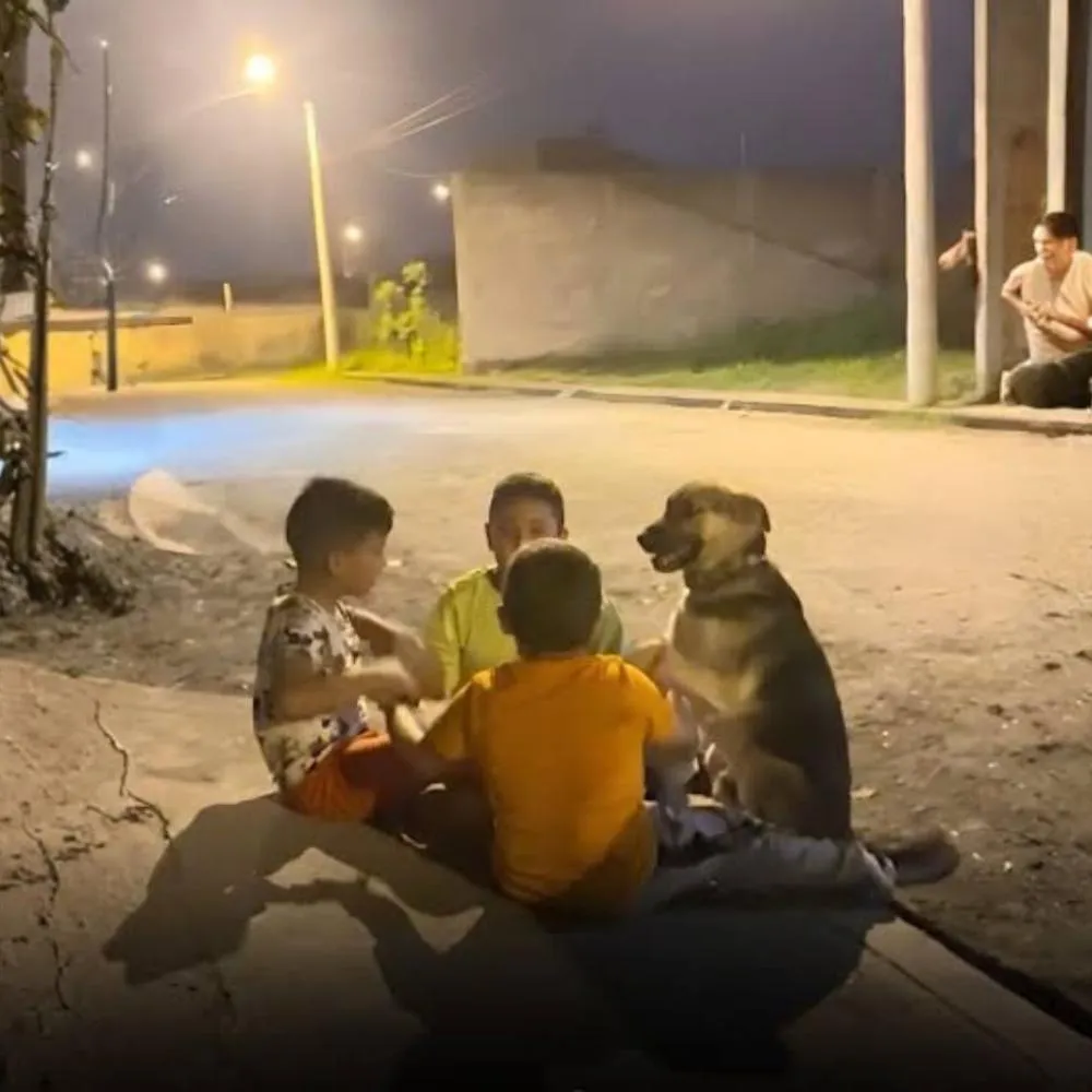 Foto: Internet