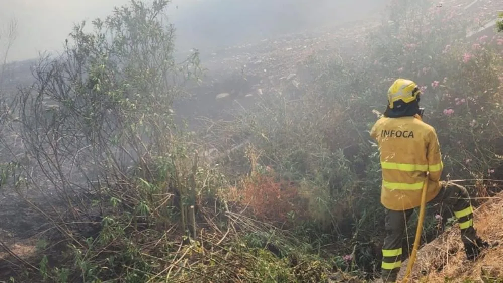 Um total de 235 pessoas de diferentes equipes continua trabalhando na área afetada pelo incêndioFoto: Plan INFOCA/Serviço de Extinção de Incêndios Forestais da Andaluzia/Reprodução/ND Mais