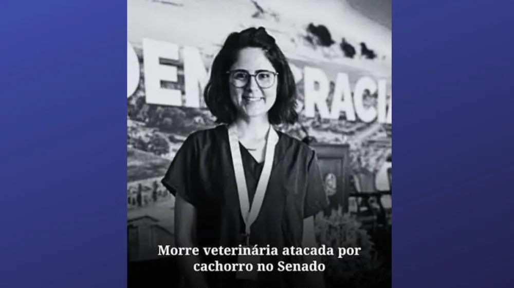 CANIL DO SENADO FUNCIONAVA SEM REGISTRO NO CRMV-DF, CONFIRMA PRESIDENTE DA ENTIDADE
